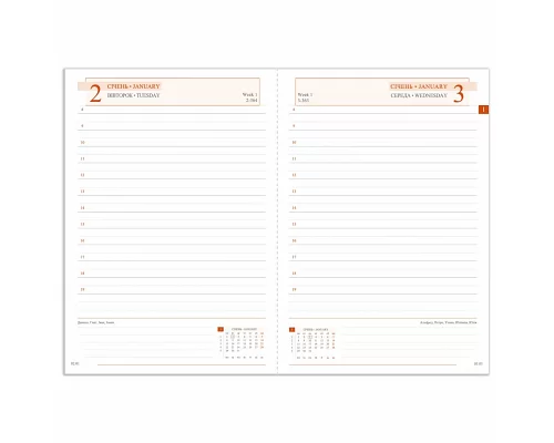 Ежеденевник А5 датированный 2024 Leo Planner Whisky с твердой обложкой бордо (252449)