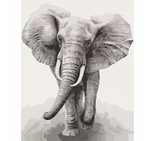 Картина за номерами Африканський слон 40х50 см АРТ-КРАФТ (11629-AC)
