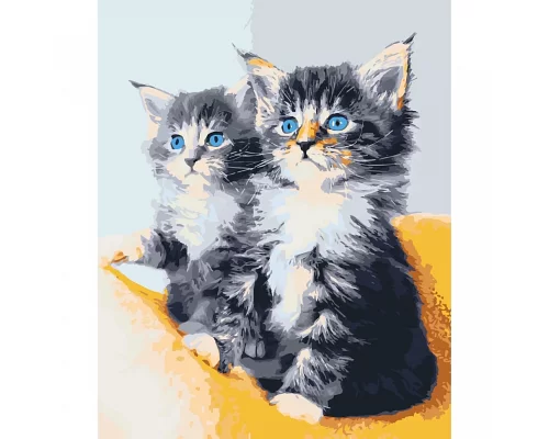 Картина за номерами Блакитноокі кошенята 40*50 см АРТ-КРАФТ (11617-AC)
