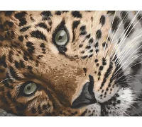 Картина за номерами Леопард 40х50 см АРТ-КРАФТ (11635-AC)