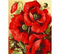 Картина за номерами Маковий цвіт 40х50 см АРТ-КРАФТ (13129-AC)