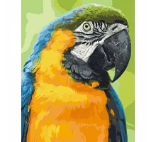 Картина за номерами Папуга Ара 40х50 см АРТ-КРАФТ (11643-AC)