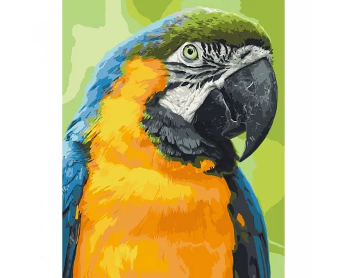 Картина за номерами Папуга Ара 40х50 см АРТ-КРАФТ (11643-AC)