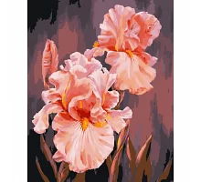 Картина за номерами Рожеві іриси 40х50 см АРТ-КРАФТ (13140-AC)