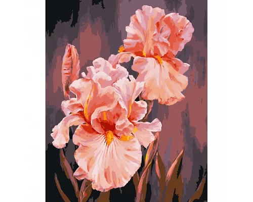 Картина за номерами Рожеві іриси 40х50 см АРТ-КРАФТ (13140-AC)