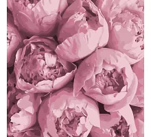 Картина за номерами Рожева ніжність 40х40 см АРТ-КРАФТ (13103-AC)
