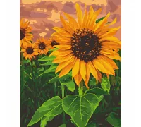 Картина за номерами Яскравий соняшник 40х50 см АРТ-КРАФТ (13120-AC)