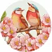 Круглая картина по номерам Весеннее цветение d33 Идейка (KHO-R1024)