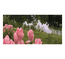 Картина за номерами Тюльпани на березі річки  50х25 см Strateg (WW042)