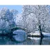 Картина за номерами Зимове озеро  40х50 см Strateg (GS1587)