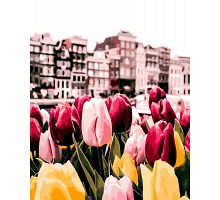 Картина по номерам Цветочный Амстердам 40*50 (LW3082)