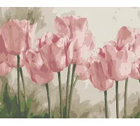 Картина по номерам Розовые тюльпаны 40*50 (LW3017)