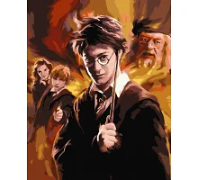 Картина по номерам Персонажи Гарри Поттер 40*50 см Origami (LW3100)