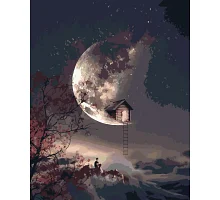 Картина по номерам Лунная ночь 40*50 см Origami (LW3105)