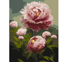 Картина по номерам Чудесные пионы. Цветы 40*50 см Оригами 3273 (LW3273)