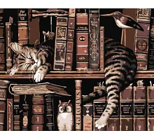 Картина за номерами Кіт з пташками в книгарні. Тварини 40*50 см Орігамі LW 30300