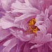 Алмазная мозаика Розовый пион artalekhina SANTI 40*40см на подрамнике (954704)
