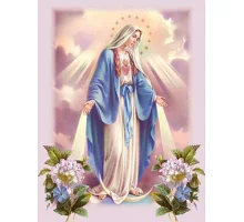 Алмазная мозаика икона Дева Мария 30*40см с рамкой 41*31*25 см (H8005)