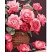 Картина за номерами Барвисті троянди art_selena_ua 40х50 Ідейка (KHO3250)