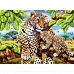 Алмазна мозаїка Леопард з дитинчатою без підрамника розміром 50х65 см Strateg (SGK76327)