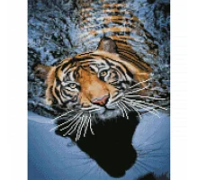 Алмазна мозаїка Тигр на відпочинку 40х50 см Strateg FA20143