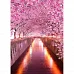 Алмазна мозаїка Цвітіння сакури без підрамника розміром 30х40 см Strateg (JSDF78050)