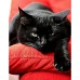 Алмазна мозаїка Чорний котик без підрамника розміром 40х50 см Strateg (JSFH85889)