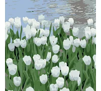 Картина за номерами Білі тюльпани розміром 20х20 см Strateg (HH5908)