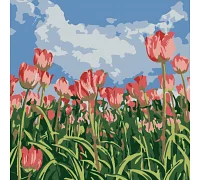 Картина за номерами Поле тюльпанів розміром 20х20 см Strateg (HH5181)