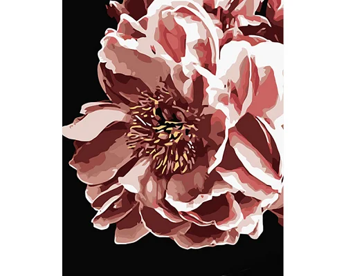 Картина за номерами Нічна квітка на чорному фоні розміром 40х50 см Strateg (AH1039)