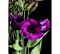 Картина за номерами Фіолетові квітки на чорному фоні розміром 40х50 см Strateg (AH1036)