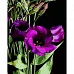 Картина за номерами Фіолетові квітки на чорному фоні розміром 40х50 см Strateg (AH1036)