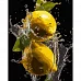 Картина за номерами Яскраві лимони на чорному фоні розміром 40х50 см Strateg (AH1008)