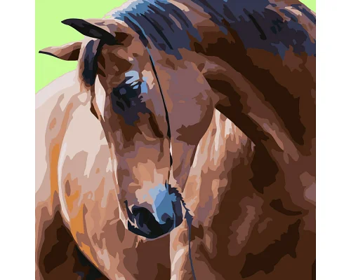 Картина за номерами Strateg Гордий кінь 40х40 см (SK026)