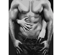 Картина за номерами Спокусливі лінії чоловічого тіла 40x50 Ідейка (KHO8403)