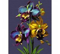 Картина за номерами Орхідеї  40*50 см SANTI (954766)
