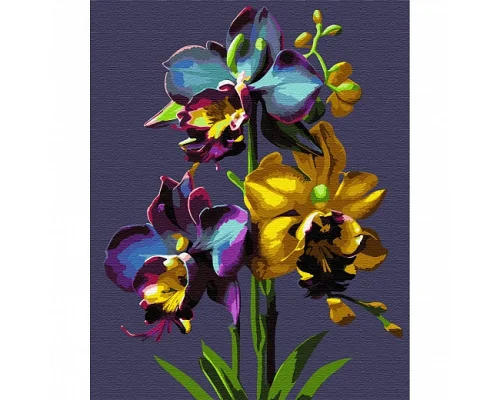 Картина за номерами Орхидеи 40*50 см SANTI (954766)
