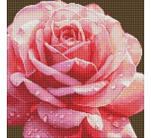 Алмазна мозаїка без підрамника Досконала троянда art_selena_ua 40х40 Ідейка (AMC7854)