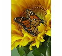 Алмазна мозаїка Strateg Частування метелика соняшником без підрамника 30х40 см Strateg (GD86096)