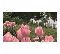 Картина за номерами Розкішне поле тюльпанів 50х25 см Strateg (WW209)
