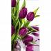 Картина за номерами Фіолетові тюльпани 50х25 см Strateg (WW213)