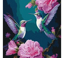 Картина за номерами Казкові птахи колібрі з фарбами металік 40x40 Ідейка (KHO6582)