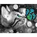Картина за номерами Кошеня з метеликом з лаком розміром 40х50 см StrategSY6186