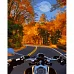 Картина за номерами На мотоциклі восени розміром 40х50 см Strateg(GS1041)