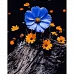 Картина за номерами Квітки на пні на чорному фоні розміром 40х50 см Strateg(AH1065)