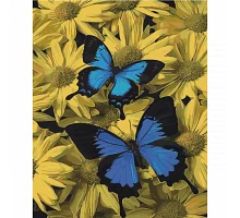 Картина за номерами Strateg Пара метеликів на кольоровому фоні розміром 40х50 см Strateg(SY6460)