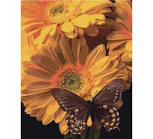 Картина за номерами Strateg Метелик на соняшнику на кольоровому фоні розміром 40х50 см Strateg(SY6472)