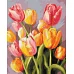 Картина за номерами Весняний букет тюльпан art_selena_ua Ідейка (KHO3268)
