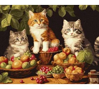 Картина за номерами Котики і фрукти art_selena_ua Ідейка (KHO6586)