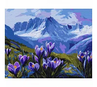 Картина за номерами SANTI Гірські квіти 40*50 (954813)